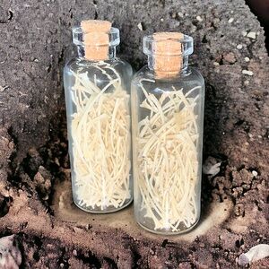 Real Eastern Rat Snake Ribs * 1 Small Corked Glass Vial *